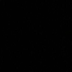 Meet your Posher, Maddy